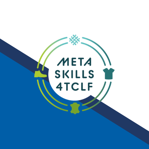 Metaskills4TCLF
