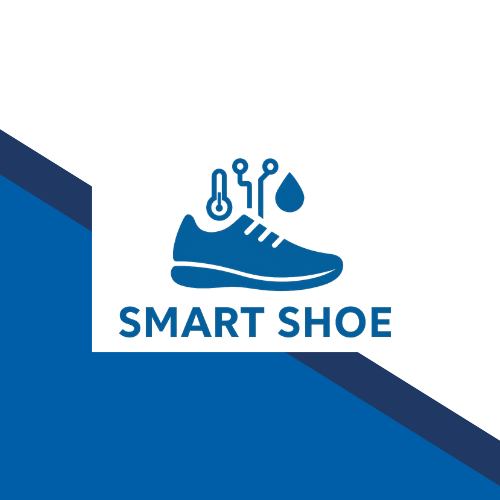 Smart Shoe