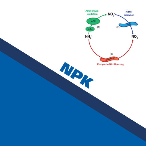 NPK