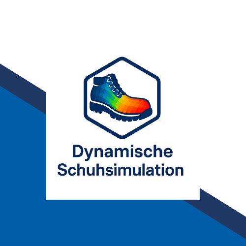 Dynamische Schuhsimulation