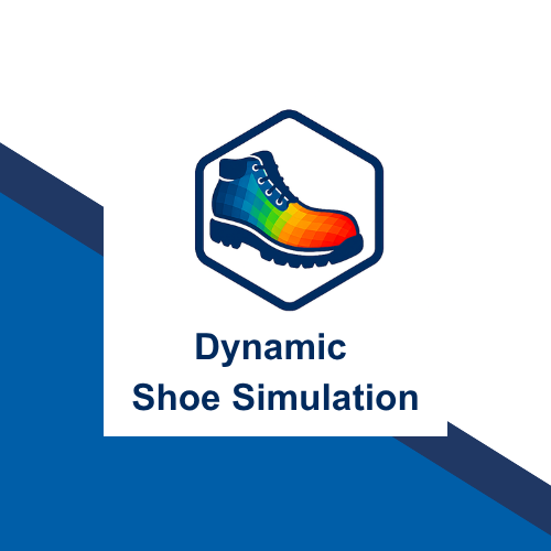 Dynamische Schuhsimulation